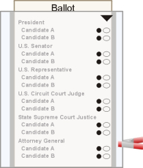 ballot sleeve